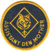 BSA Assistant Den Mother.jpg (94707 bytes)