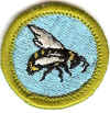 Beekeeping CB GB.jpg (103505 bytes)