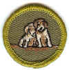 Dog Care RE TW.jpg (62913 bytes)