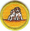 Dog Care SS.jpg (116403 bytes)