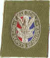 BSA Eagle Award Patch Type 03G-a.jpg (98930 bytes)