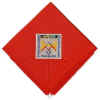 WSJ 2003 Neckerchief International Staff.jpg (36011 bytes)