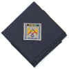 WSJ 2003 Neckerchief World Scout Bureau.jpg (33744 bytes)