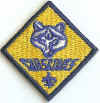 Cub Scouts.jpg (51293 bytes)