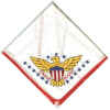 Eagle Scout - 1985 - White.jpg (45531 bytes)