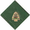 Neckerchief - 2006a.jpg (42381 bytes)